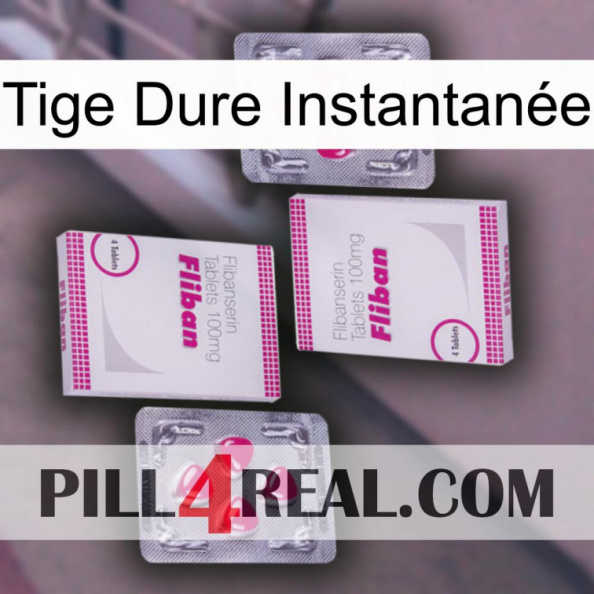 Tige Dure Instantanée 33
